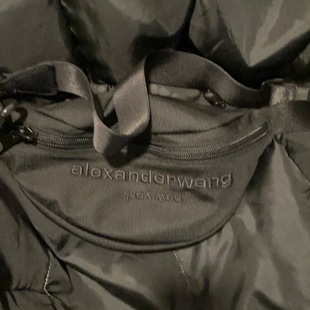 COPY - Alexander Wang fanny
